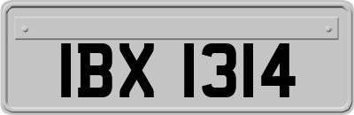 IBX1314