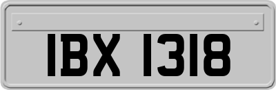 IBX1318