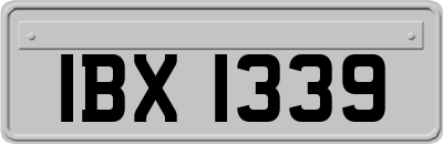 IBX1339