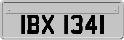 IBX1341