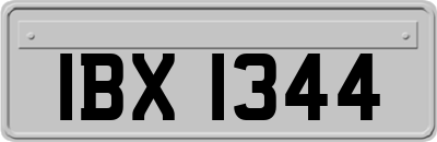 IBX1344