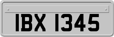IBX1345