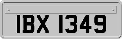 IBX1349
