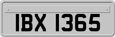IBX1365