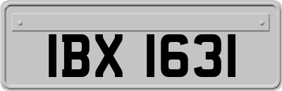 IBX1631