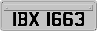 IBX1663