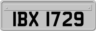 IBX1729