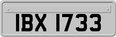 IBX1733