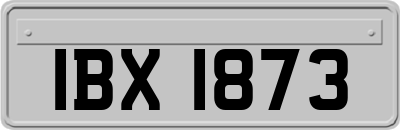 IBX1873