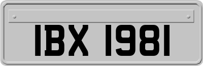 IBX1981
