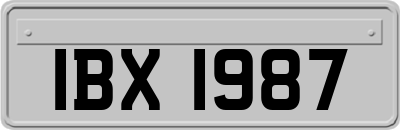 IBX1987