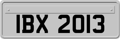 IBX2013