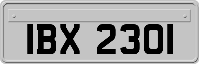 IBX2301
