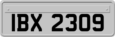 IBX2309
