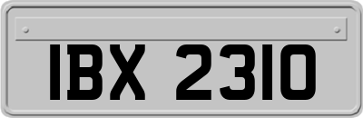 IBX2310