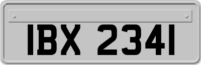 IBX2341