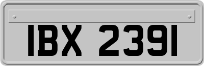 IBX2391