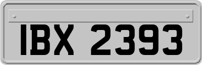IBX2393