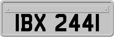 IBX2441