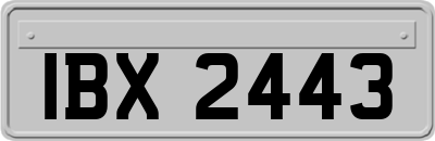 IBX2443