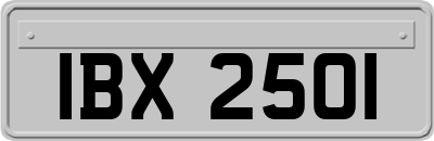 IBX2501