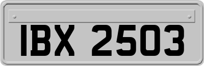 IBX2503