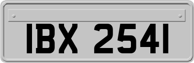IBX2541