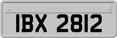 IBX2812
