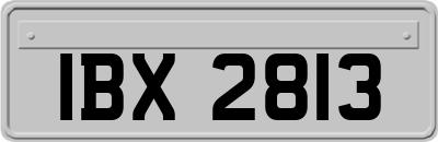 IBX2813