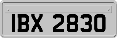 IBX2830