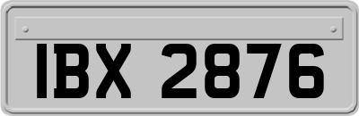 IBX2876