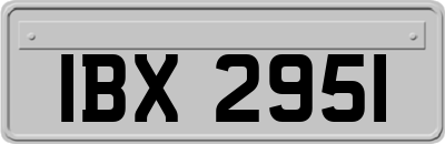 IBX2951