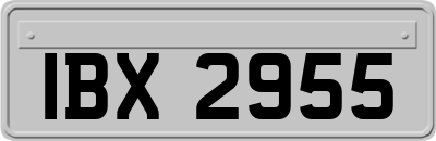 IBX2955