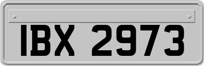 IBX2973