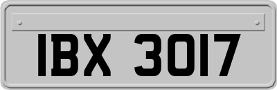 IBX3017