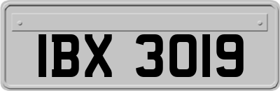 IBX3019