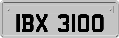 IBX3100