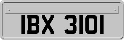 IBX3101