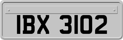 IBX3102