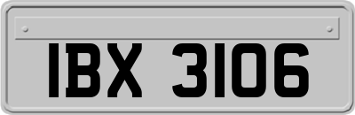 IBX3106