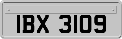 IBX3109