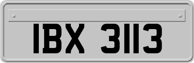 IBX3113