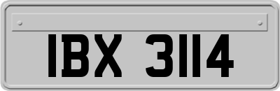 IBX3114