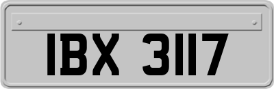 IBX3117