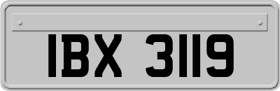 IBX3119