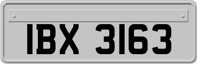 IBX3163