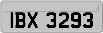 IBX3293