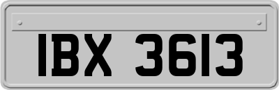 IBX3613