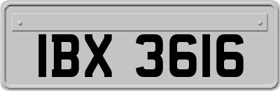 IBX3616