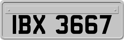 IBX3667